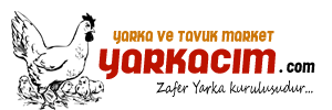 Yarka – Yarka Satışı – Tavuk Satışı
